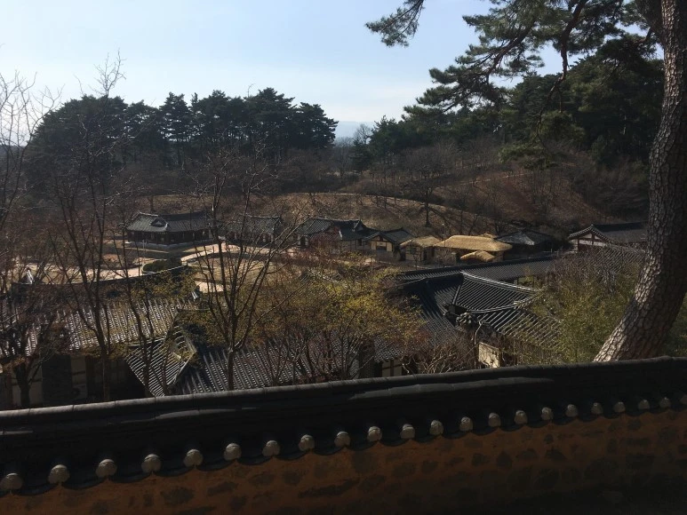 IMG_3067.JPG?type=w773