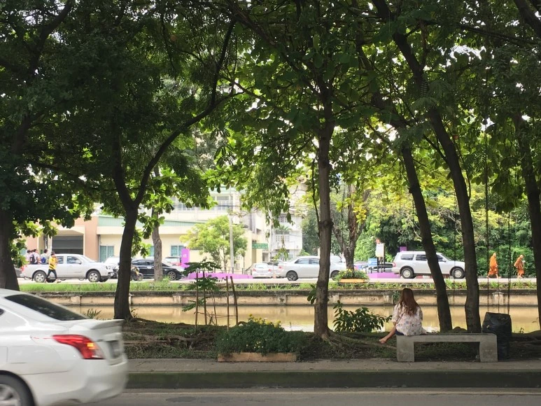 IMG_7205.JPG?type=w773