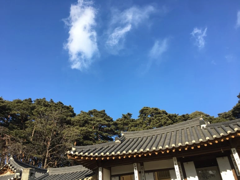 IMG_0557.JPG?type=w773