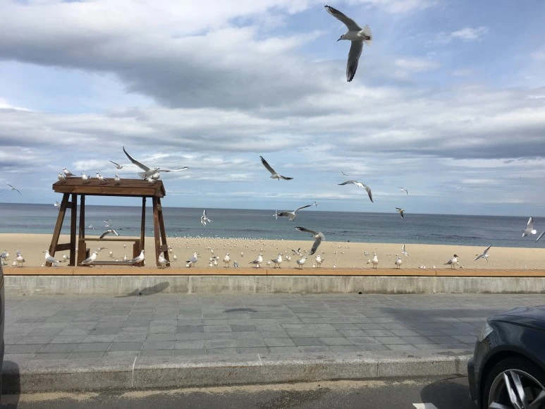 IMG_3263.JPG?type=w773