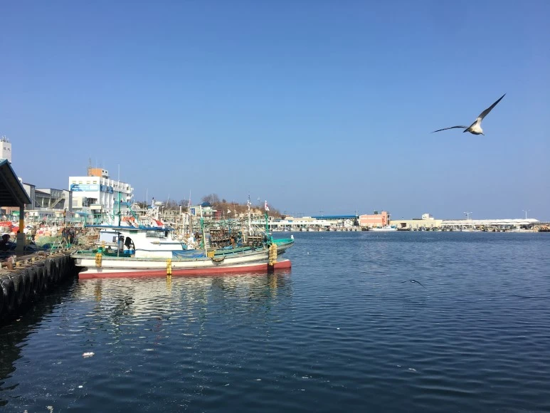 IMG_2856.JPG?type=w773