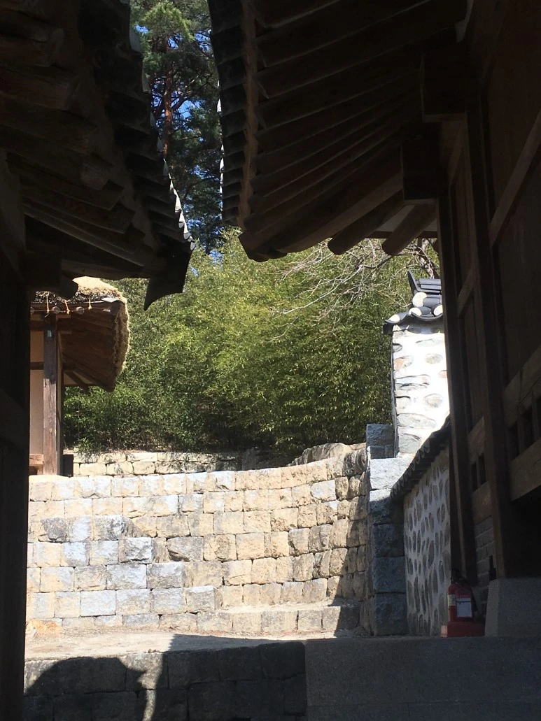 IMG_3038.JPG?type=w773