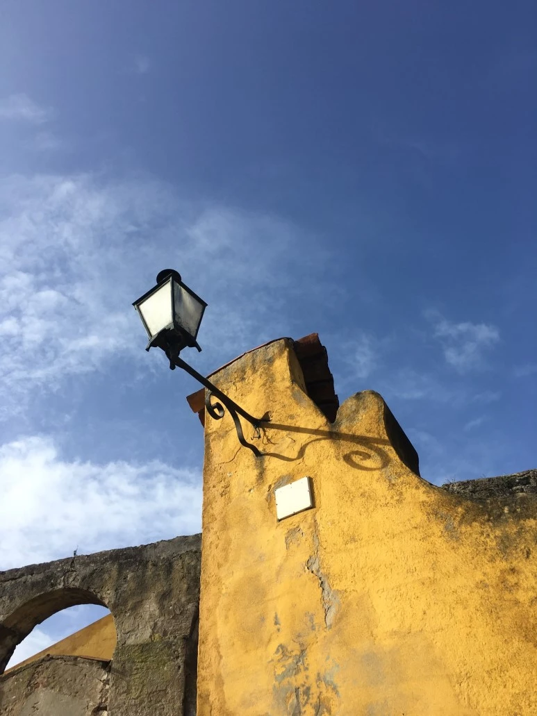 P20190201_110557553_514812D1-5780-4BFB-9860-A5CE35F21222.JPG?type=w773