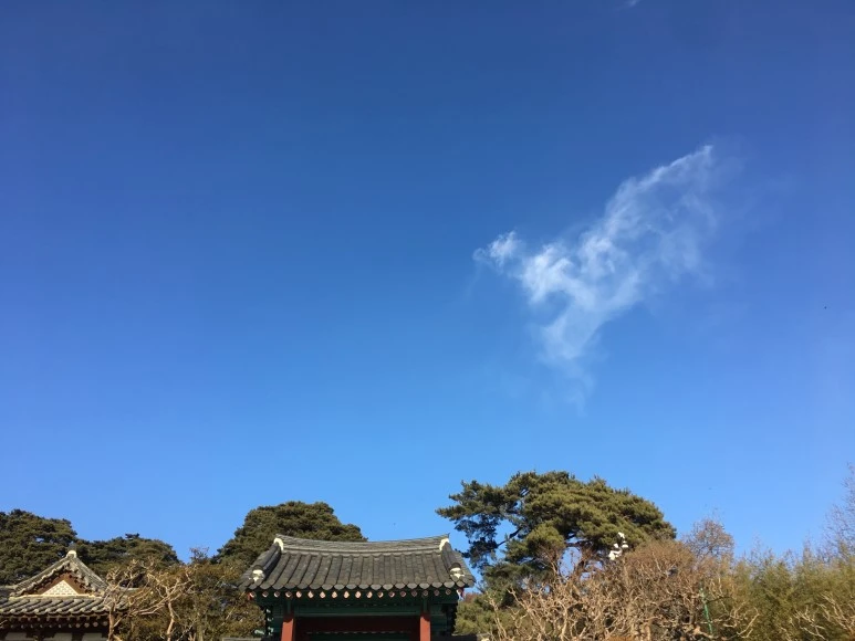 IMG_0569.JPG?type=w773