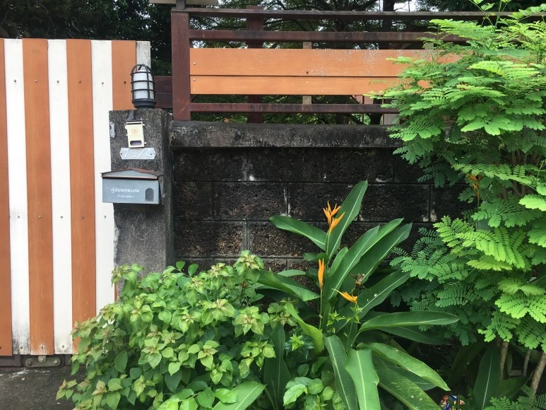 IMG_7087.JPG?type=w773