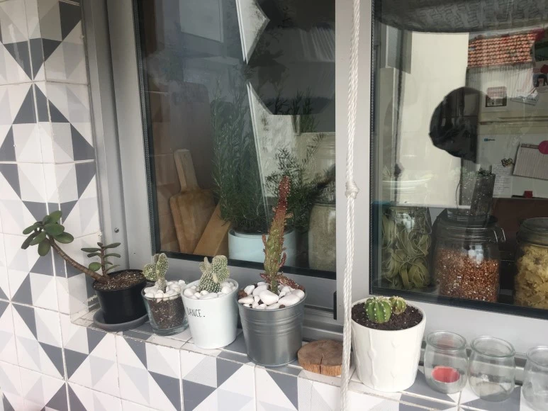 IMG_9920.JPG?type=w773