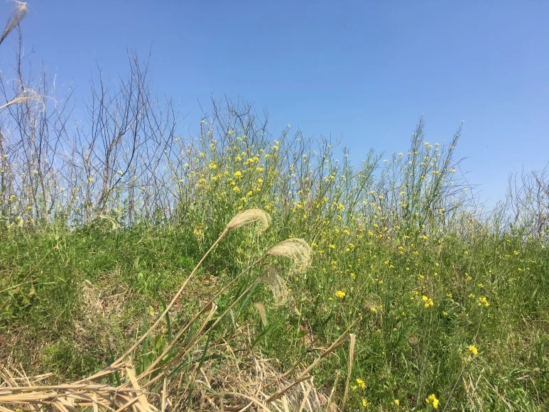 IMG_4736.JPG?type=w773