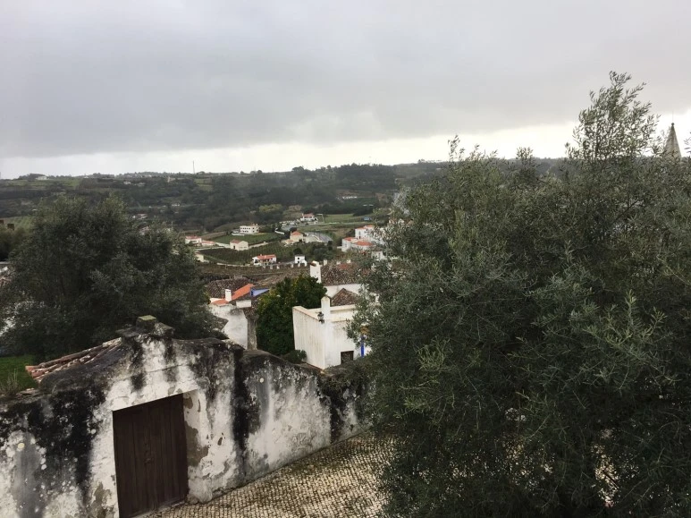 P20190201_125718620_70D76D0B-CCA7-4384-9A85-2E91CB2C1286.JPG?type=w773