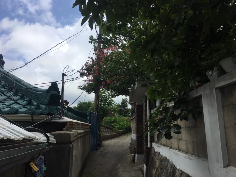 P20180729_130356314_D3678CCC-859A-4402-8492-06B0842CBA05.JPG?type=w773