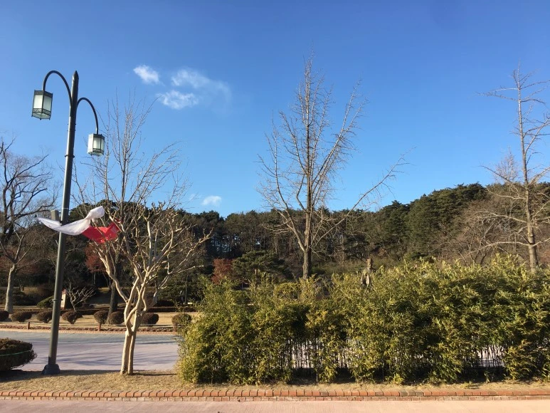 IMG_0584.JPG?type=w773