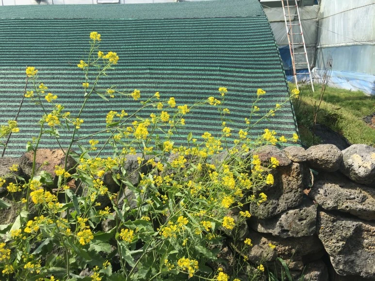 IMG_4344.JPG?type=w773