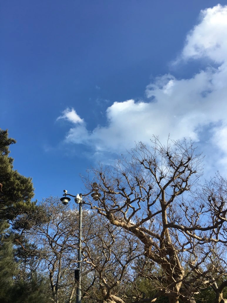 IMG_0564.JPG?type=w773