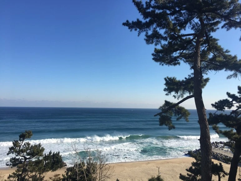 P20180111_104136034_5DC8964E-1C52-4767-A2F6-C21A87E27C46.JPG?type=w773