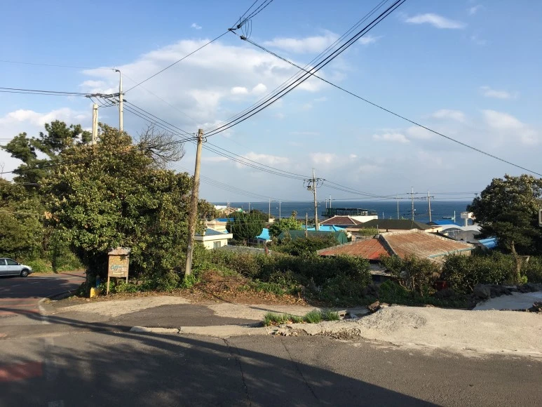 IMG_4421.JPG?type=w773