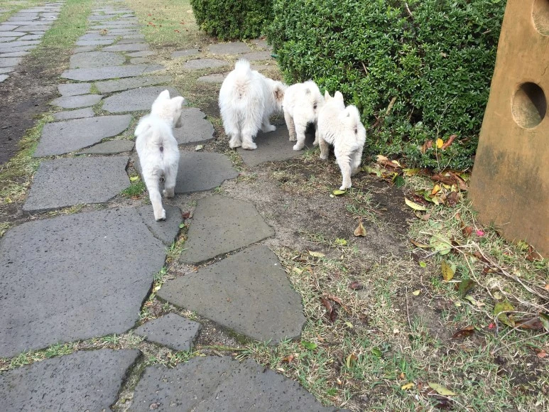 IMG_4408.JPG?type=w773