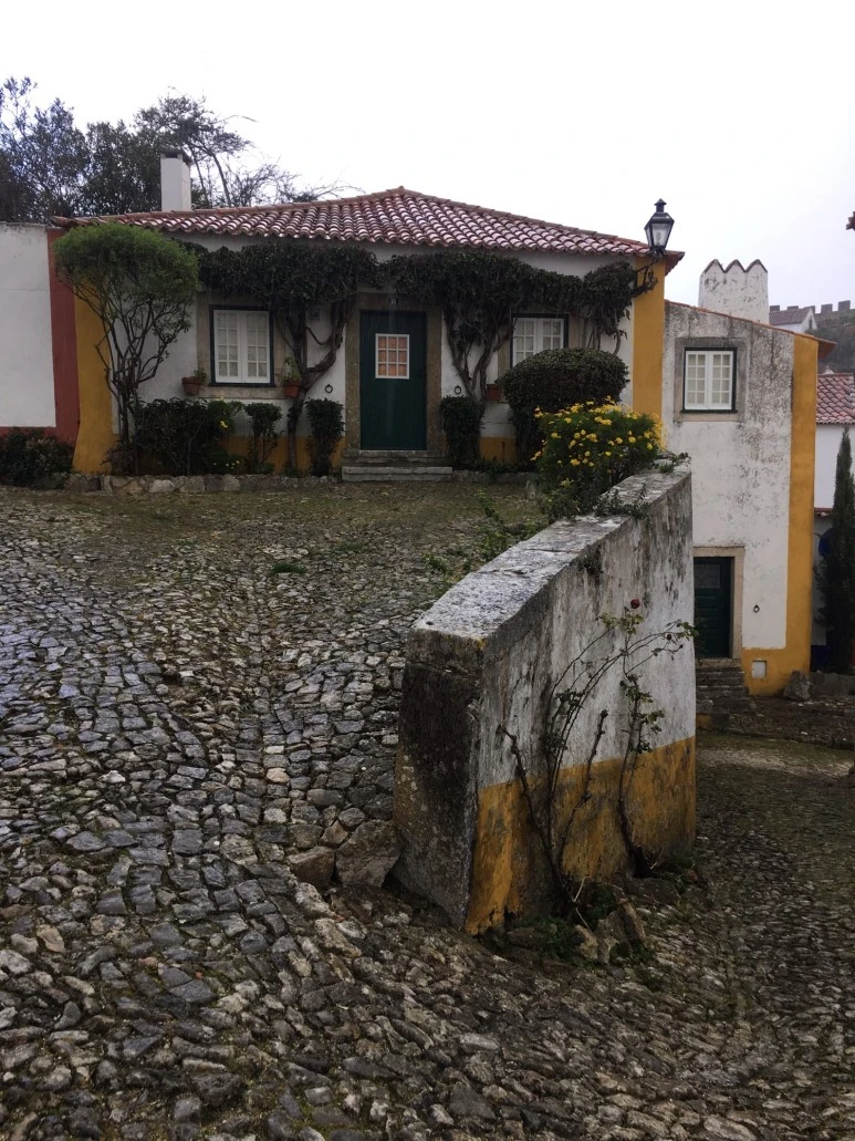 P20190201_115627239_0721D9BB-1F01-4246-8823-6F176B0A7566.JPG?type=w773