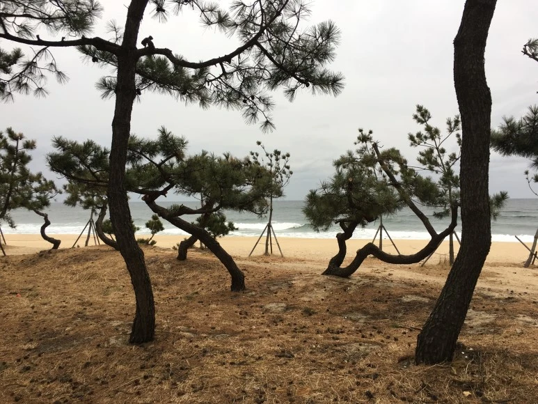 IMG_2371.JPG?type=w773