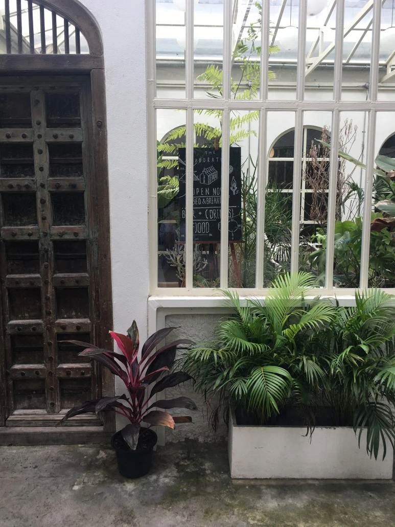 IMG_6900.JPG?type=w773