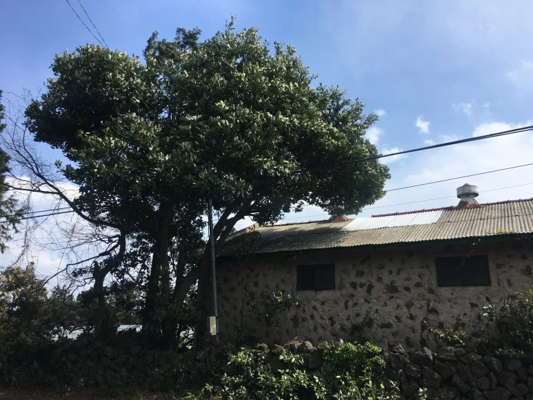 IMG_4341.JPG?type=w773