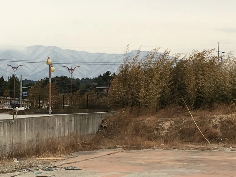 IMG_2373.JPG?type=w773