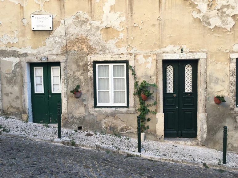 IMG_1121.JPG?type=w773