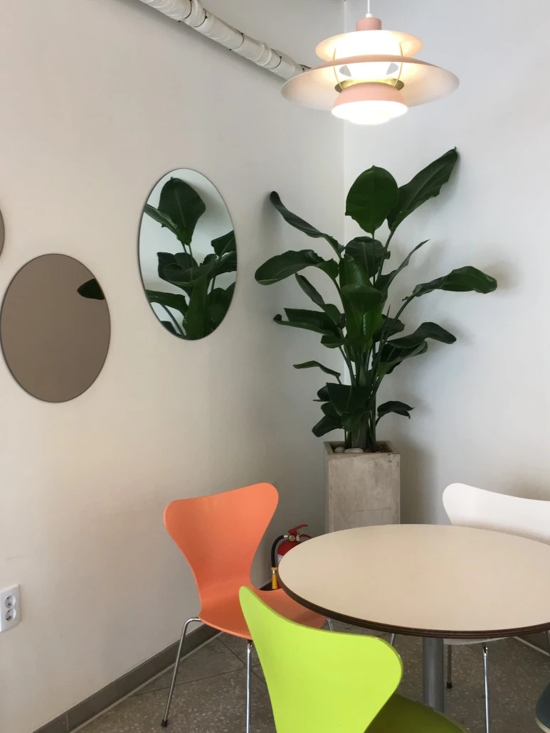 IMG_2563.JPG?type=w773