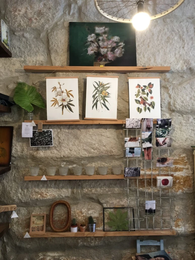 IMG_0471.JPG?type=w773