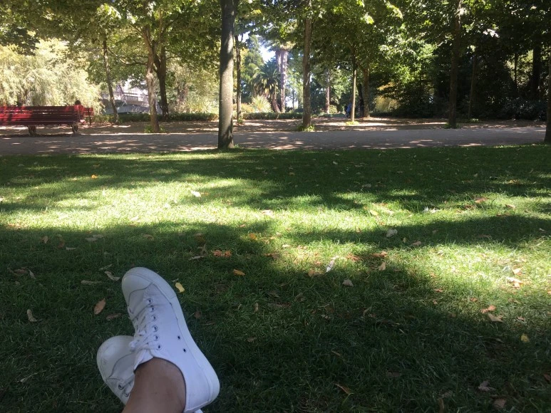 IMG_0637.JPG?type=w773