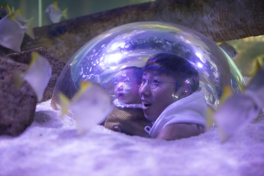 2018.02.18_IMG_8826.jpg?type=w1