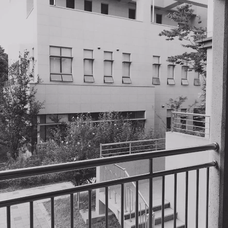 A6D22E00-11EF-441F-BADF-8E428CCBC599.jpg?type=w1