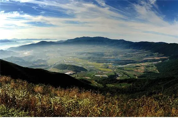 %EC%83%9D%ED%83%9C%EA%B4%80%EA%B4%919.jpg?type=w773