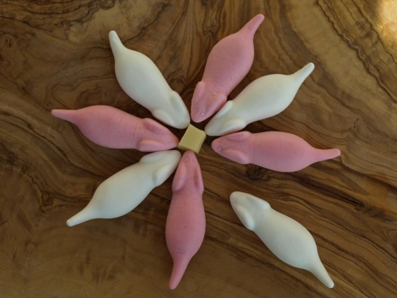 mice-301395_1920.jpg?type=w773