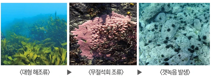 %C2%A1B1%D7%B7AF.png?type=w773