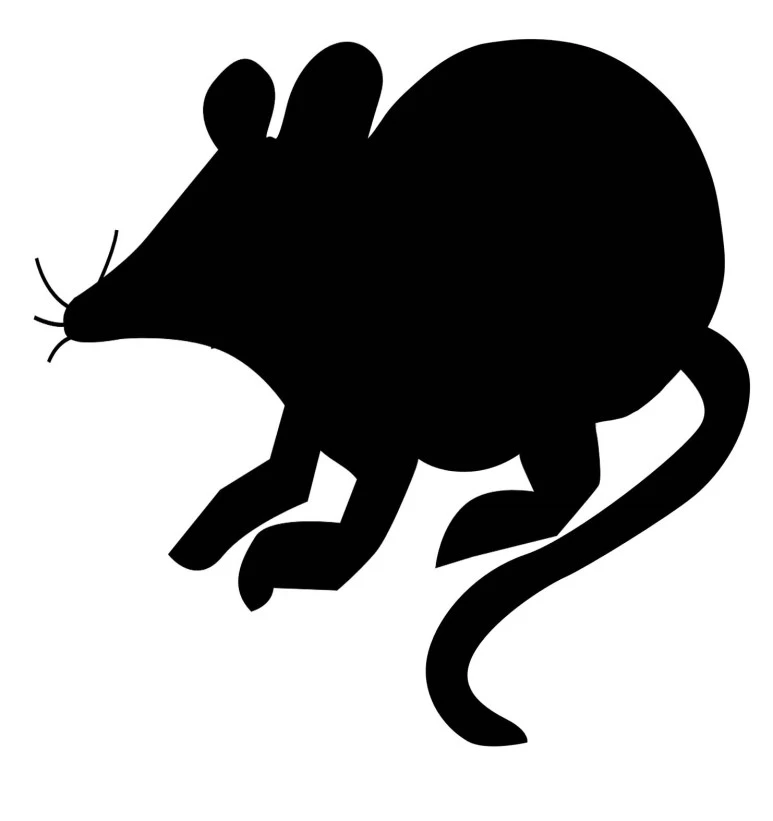 %EB%9A%B1%EC%A5%90_%EB%B3%B5%EC%82%AC.jpg?type=w773