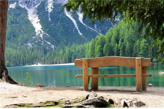 %EC%83%9D%ED%83%9C%EA%B4%80%EA%B4%9111.jpg?type=w773