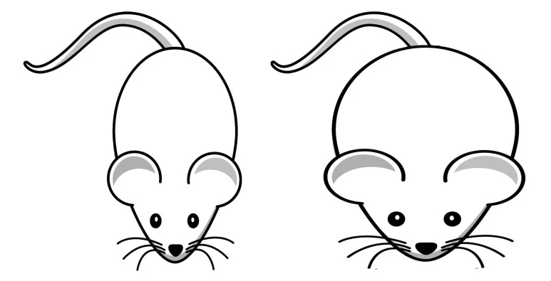 %EB%AC%B4%EC%A0%9C-1_%EB%B3%B5%EC%82%AC.jpg?type=w773