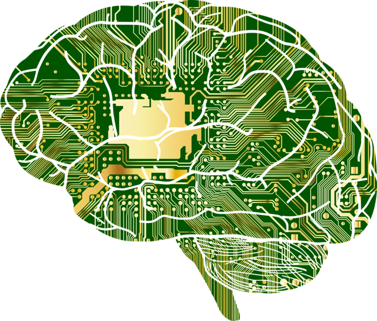 anatomy-1751201_1280.png?type=w773