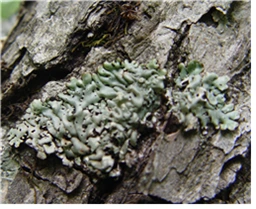 noname01.png?type=w773