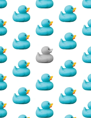duck-foam-1136999_1280.png?type=w773