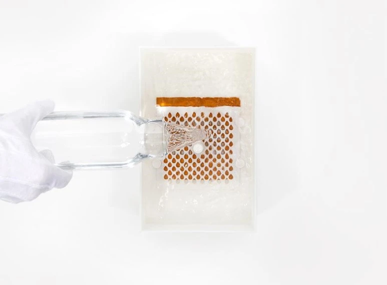 the-drinkable-book1516808794760970156.jpg?type=w773