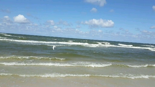 5528186_uploaded_7726236.jpg?type=w1