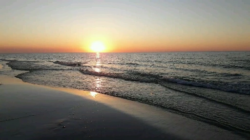 5528186_uploaded_7708436.jpg?type=w1