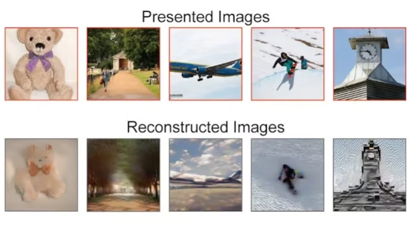 2492282aebc57c075d63d1067b40e040eda3f3307819b41c5be82233430e57de