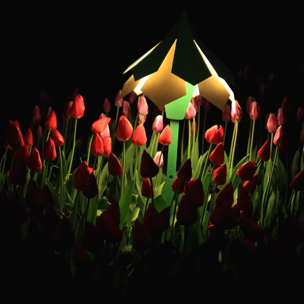 02 - 에버랜드 4.JPG