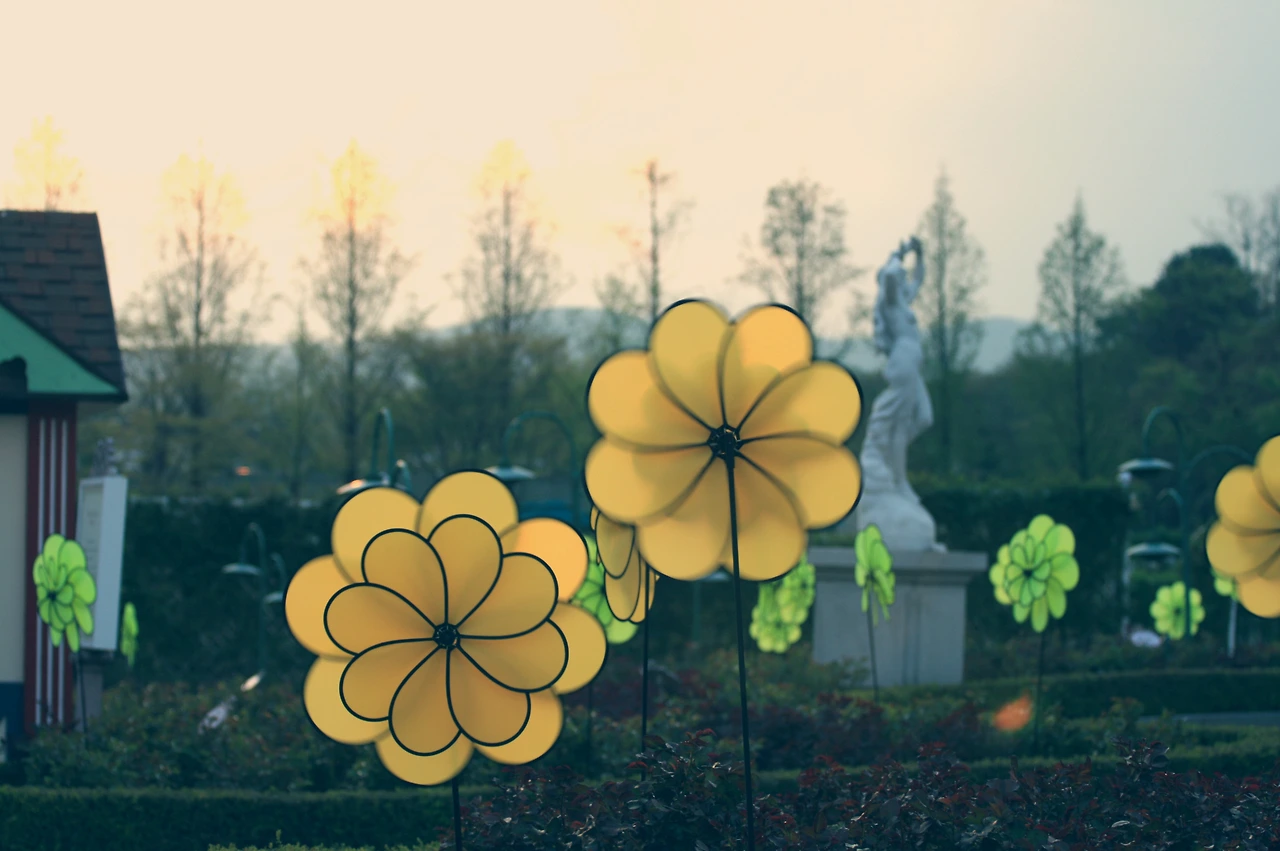 02 - 에버랜드 3.JPG