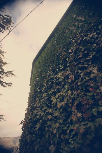 02-39 유후인 구경.JPG