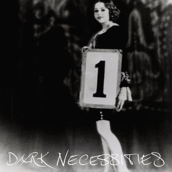red_hot_chili_peppers-dark_necessities_s.jpg?type=w966