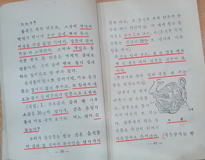 art_16152182076286_3f816f.jpg?iqs=0.2688526383223693