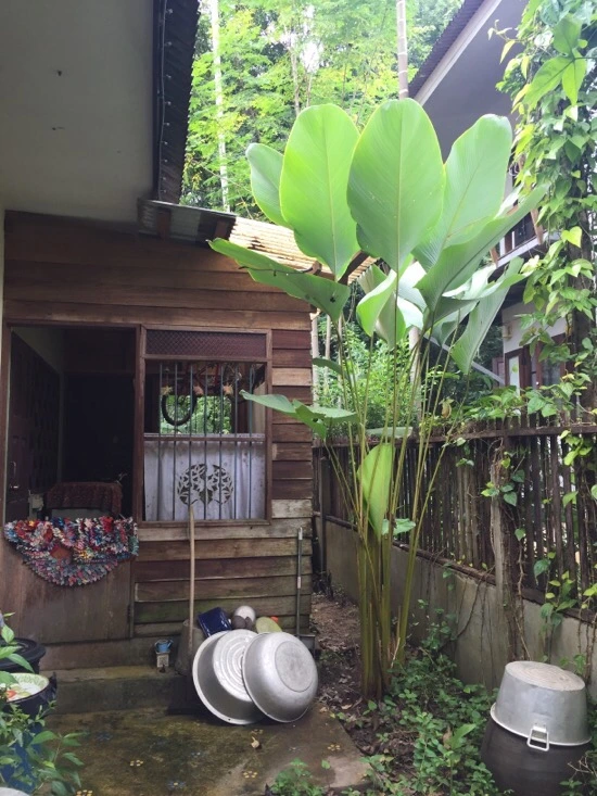 IMG_3825.jpg?type=w773