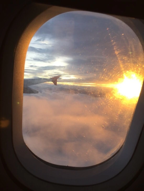 IMG_3883.jpg?type=w773